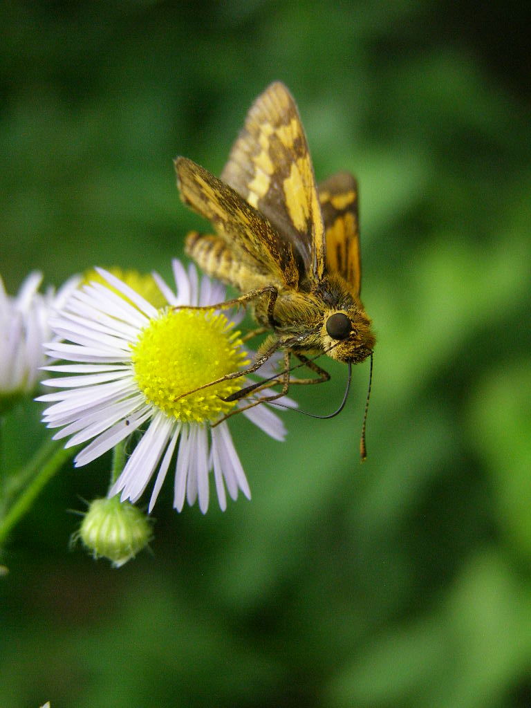 e0064158_2192079.jpg