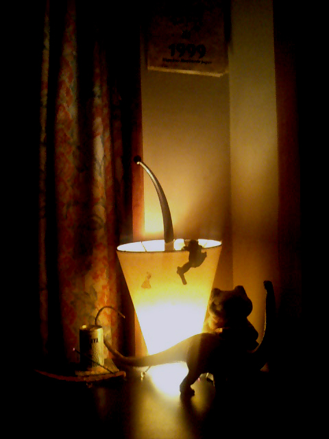 b0024261_20142313.jpg