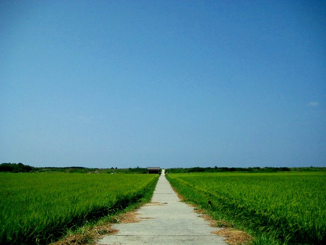 c0134861_0563315.jpg