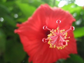 b0086362_2029290.jpg