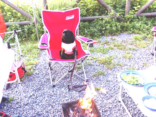 f0014371_22411015.jpg