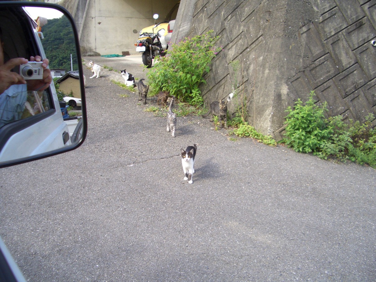 e0039975_2244131.jpg