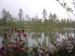 c0103278_624426.jpg