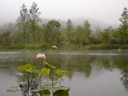 c0103278_6343029.jpg