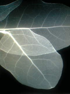 f0100480_21504522.jpg