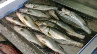 f0125585_1043552.jpg