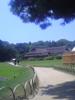 e0025187_013050.jpg
