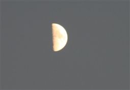 b0003089_2382839.jpg