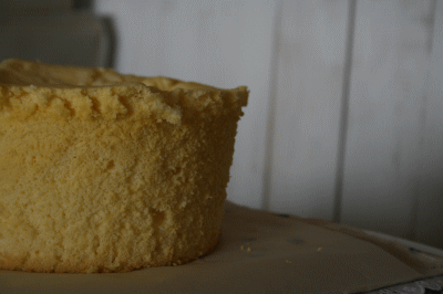 d0100192_22164928.gif