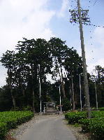 f0008692_13295462.jpg