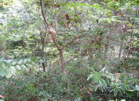 f0008692_14191229.jpg