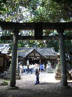 f0008692_1430165.jpg