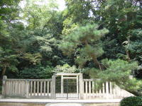 f0008692_2215124.jpg