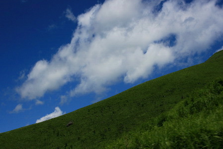 f0093592_23162234.jpg