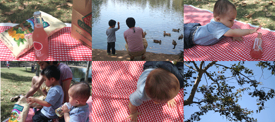 c0033994_6455264.gif