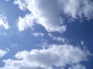 e0122194_1234447.jpg