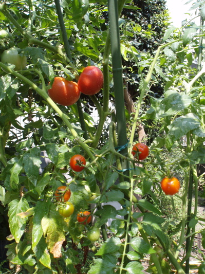 f0130894_22425033.jpg