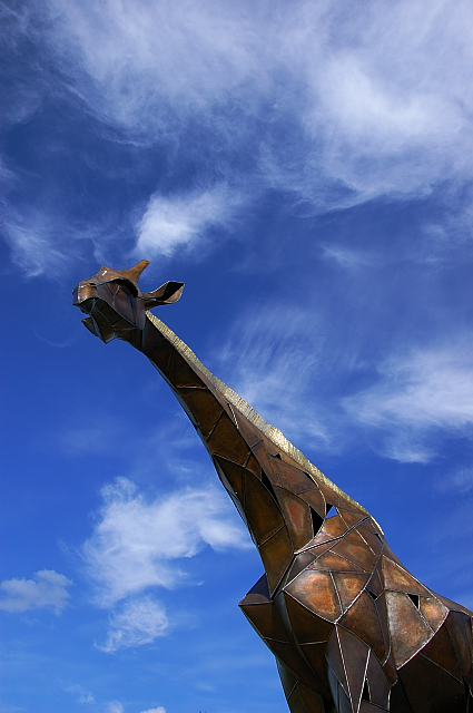 c0134295_23493290.jpg