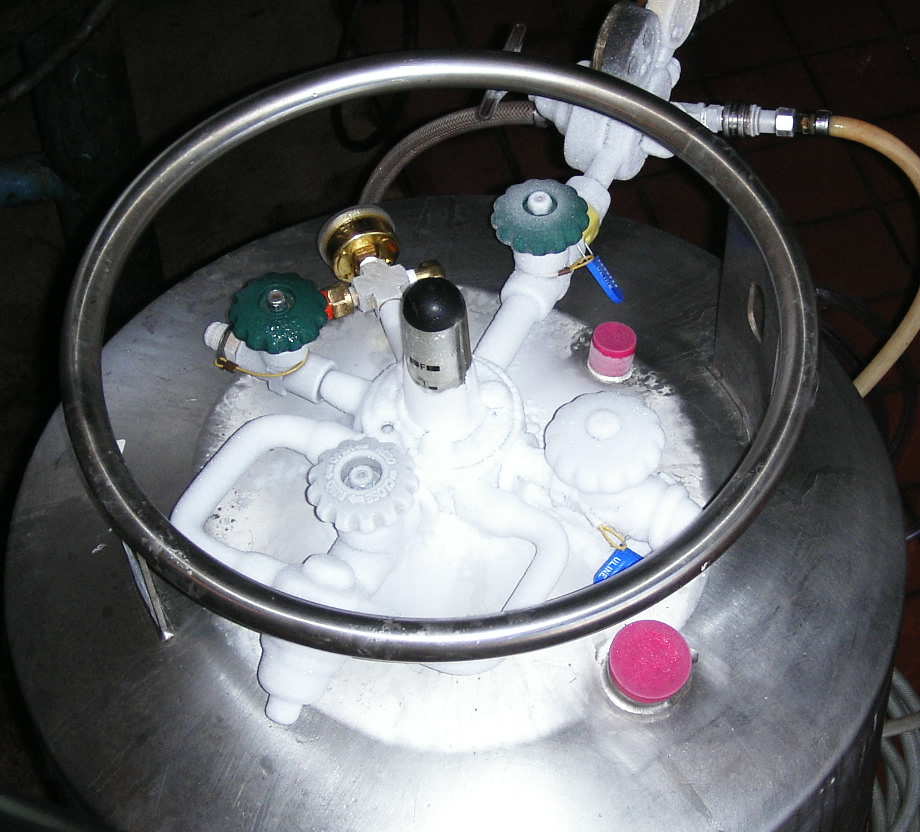 f0007498_5165385.jpg
