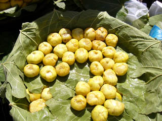 a0006100_17562045.jpg