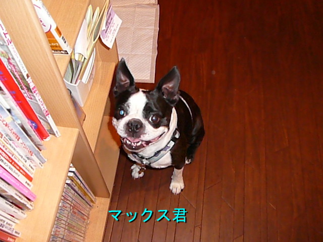 d0070702_23593352.jpg