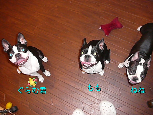 d0070702_23595791.jpg