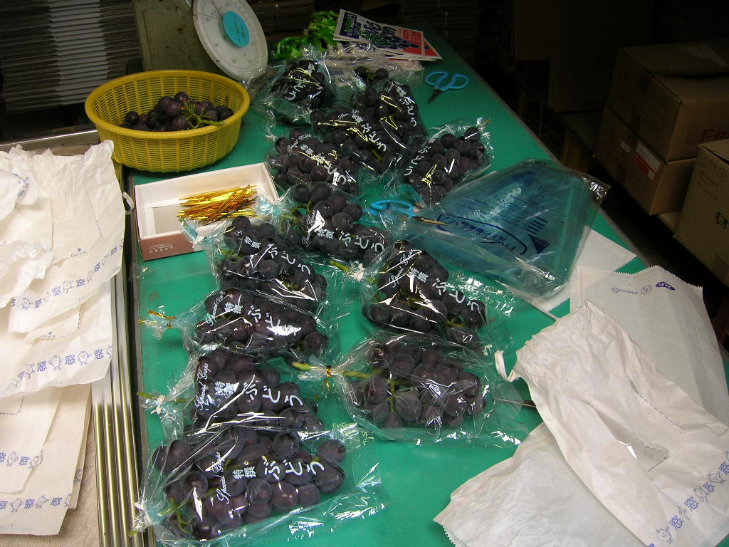 d0116205_226175.jpg