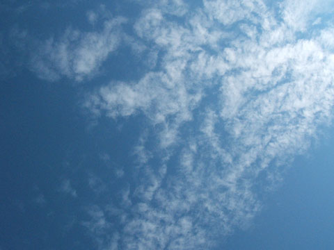 e0117805_15255247.jpg