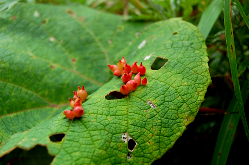 d0015006_2155228.jpg