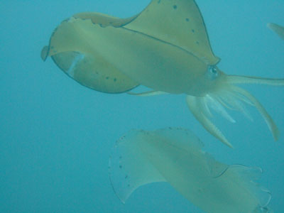 b0020307_12503735.jpg