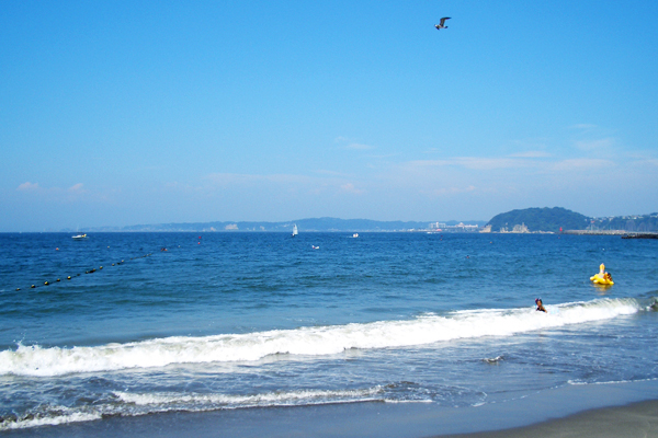 b0000608_1644955.jpg