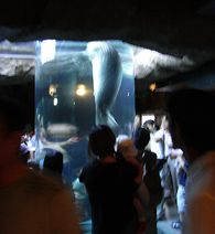 f0108112_19585551.jpg