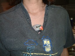 c0133013_15393026.jpg