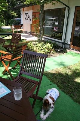 b0072515_1185085.jpg