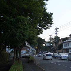 c0036617_17293438.jpg