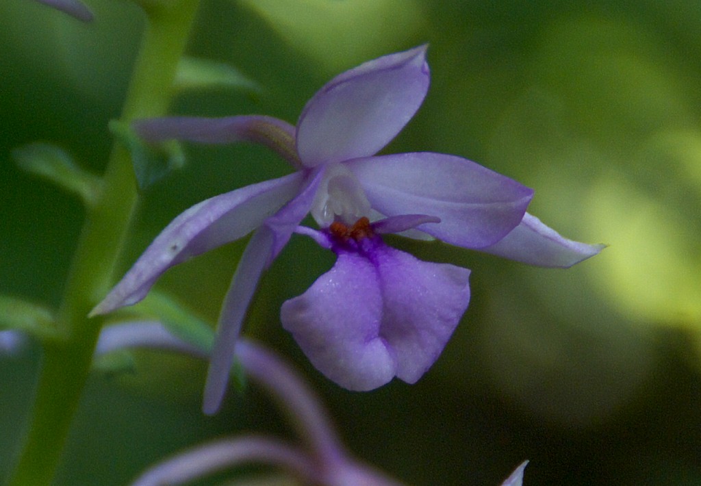 d0053930_6231720.jpg