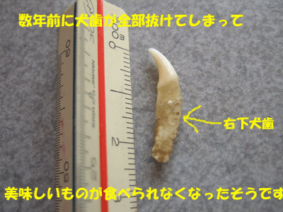 f0008935_16245139.gif