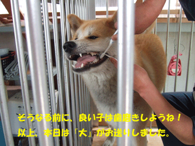 f0008935_1625922.gif