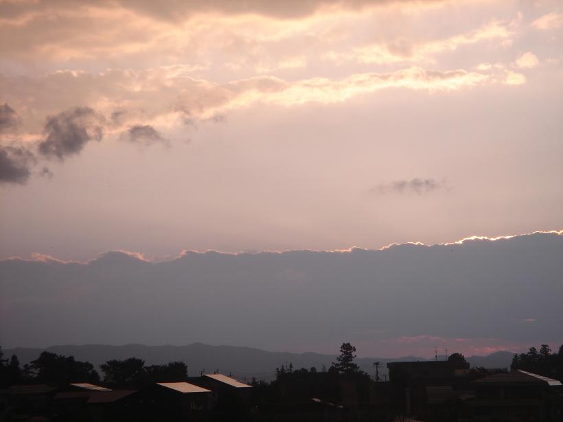 f0131535_141461.jpg