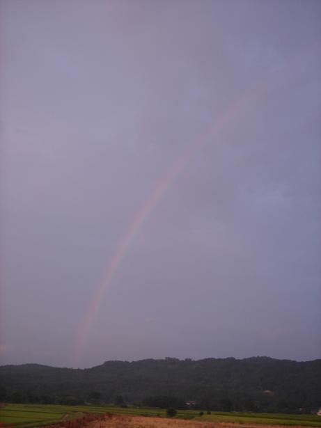 f0131535_2175966.jpg