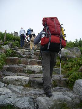 f0065941_1245631.jpg