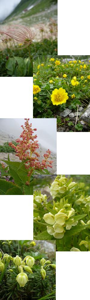 f0065941_13295186.jpg