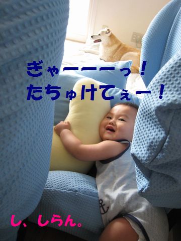 a0090451_10533284.jpg