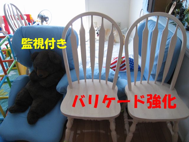 a0090451_1054762.jpg