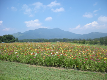 f0142953_23351074.jpg