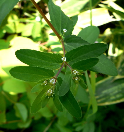 d0091754_1924126.jpg