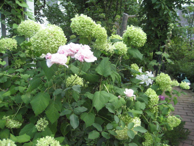 a0075455_1042429.jpg
