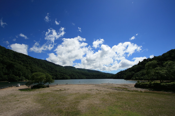 e0122855_23355170.jpg