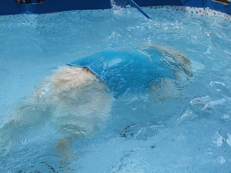 c0097558_11453547.jpg