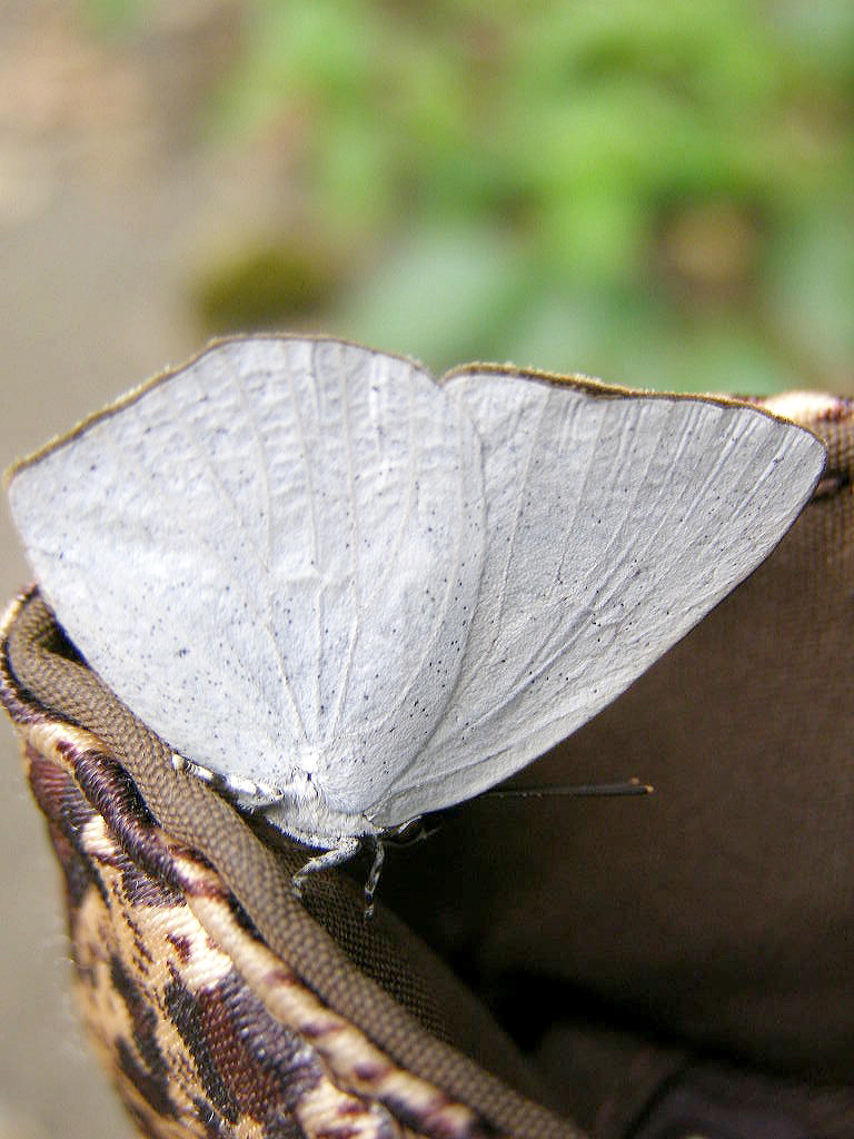 e0064158_056413.jpg